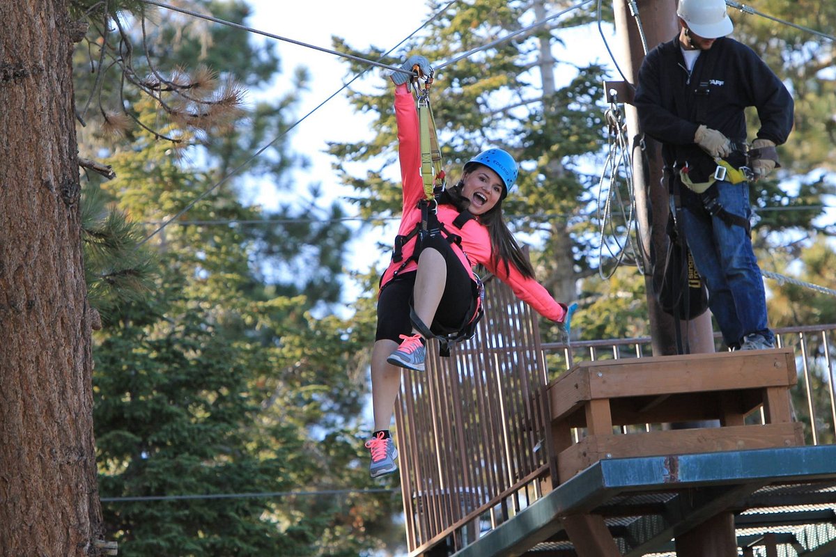 Zip-lining & ropes courses