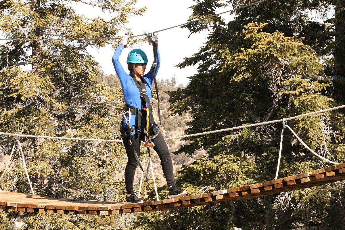 Zip-lining & ropes courses