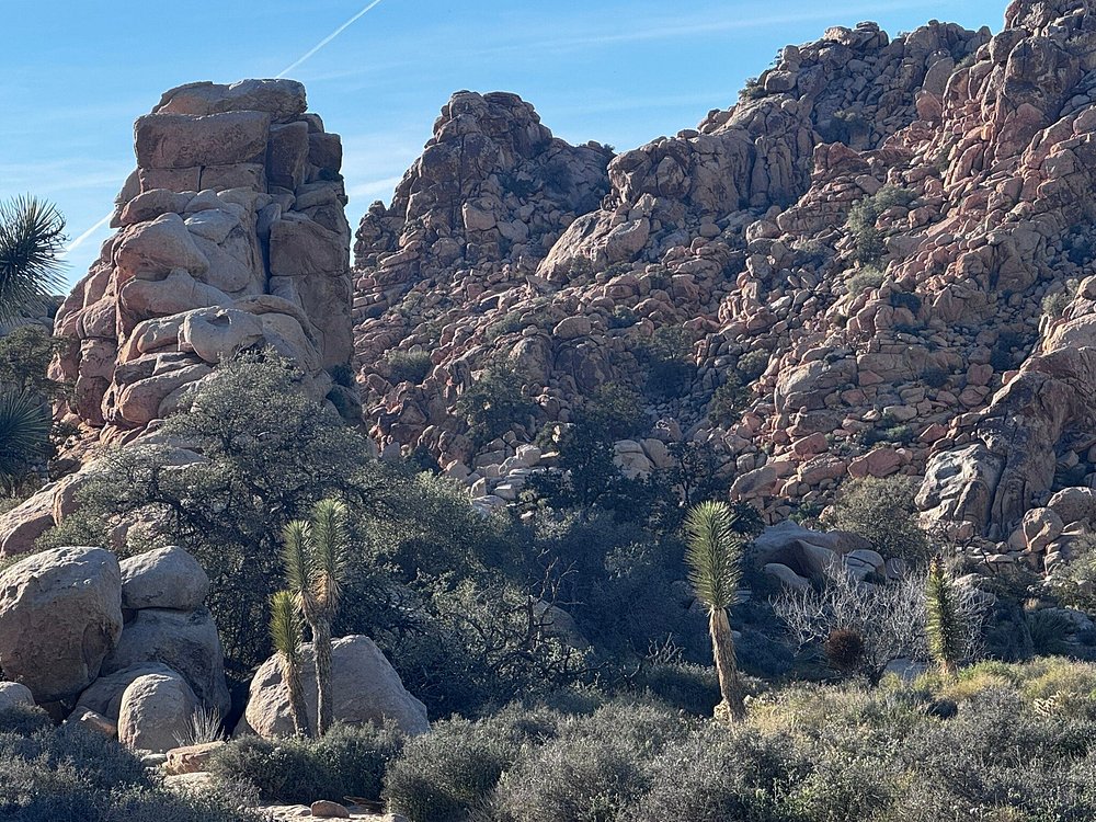 Joshua Tree National Park