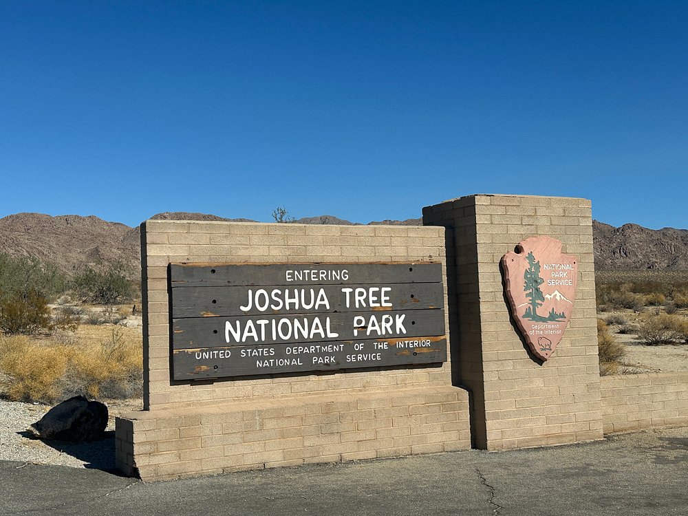 Cholla Cactus Garden