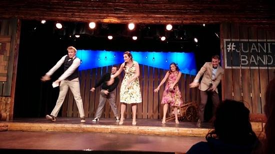 Watch a Show at Pickleville Playhouse